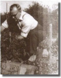 Sgt. Harry Cross - Tending Garden